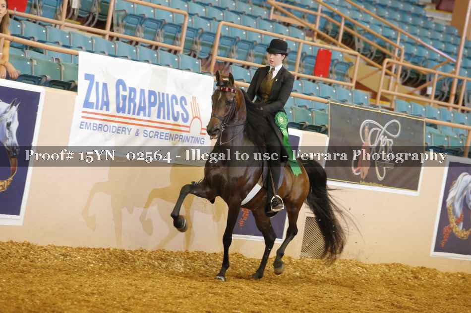 Proof 15YN_02564