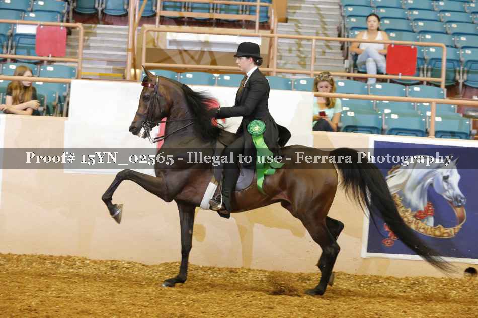Proof 15YN_02565