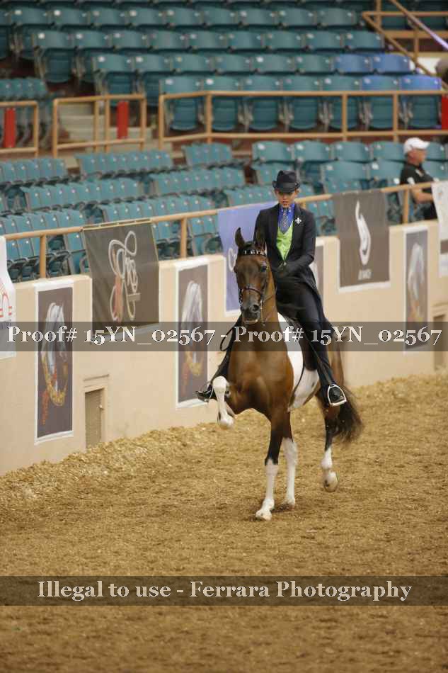 Proof 15YN_02567