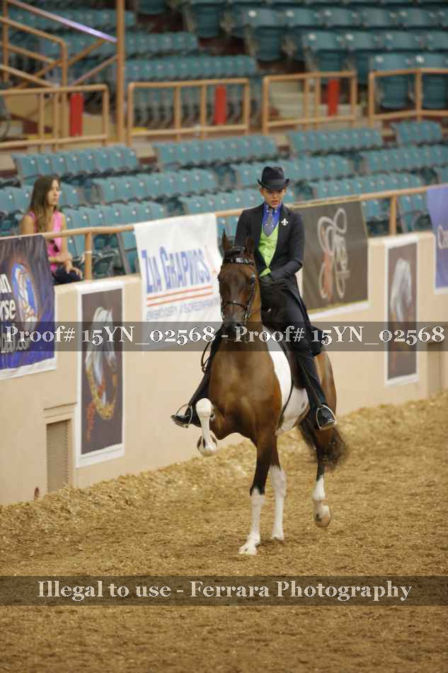 Proof 15YN_02568