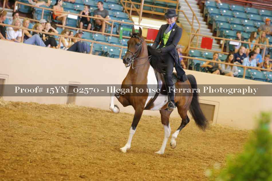 Proof 15YN_02570