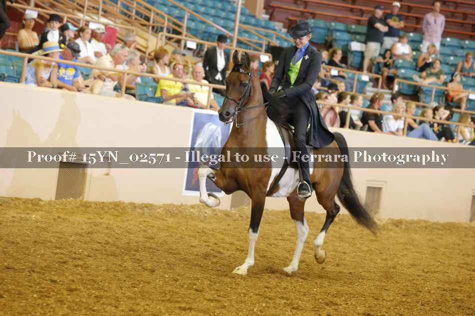Proof 15YN_02571