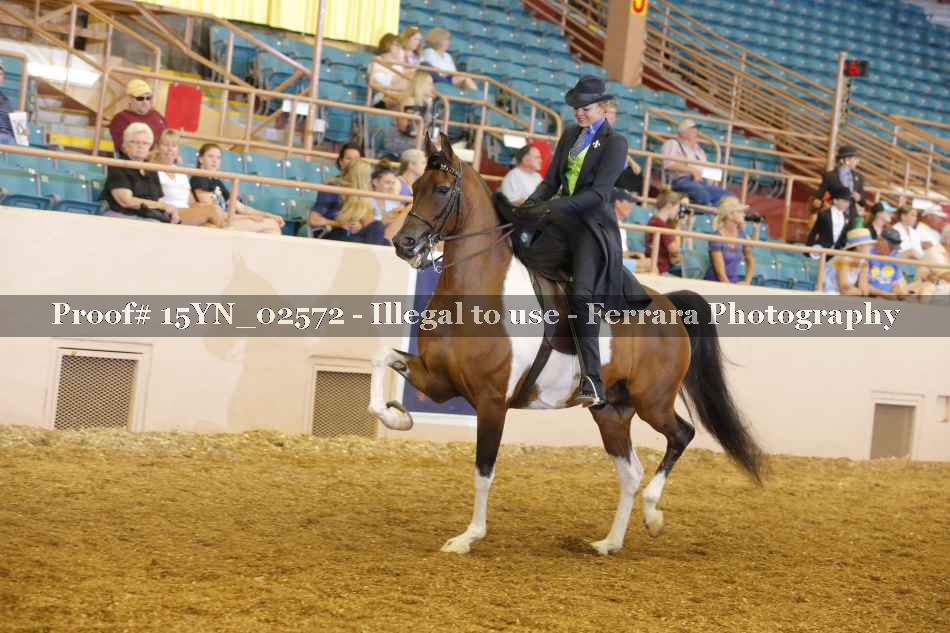 Proof 15YN_02572