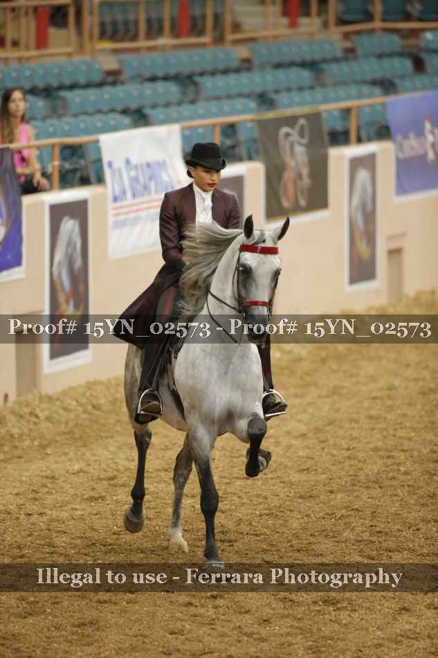 Proof 15YN_02573