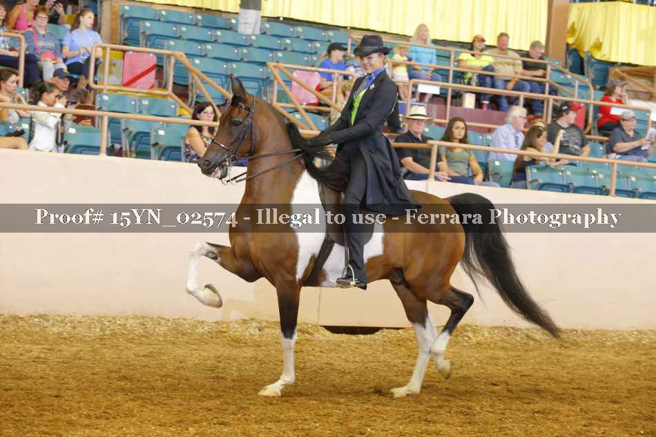Proof 15YN_02574