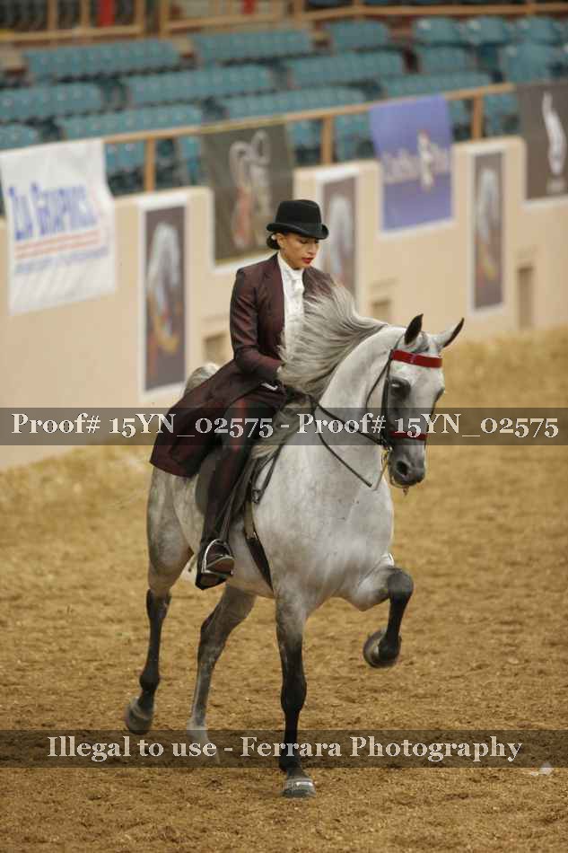 Proof 15YN_02575