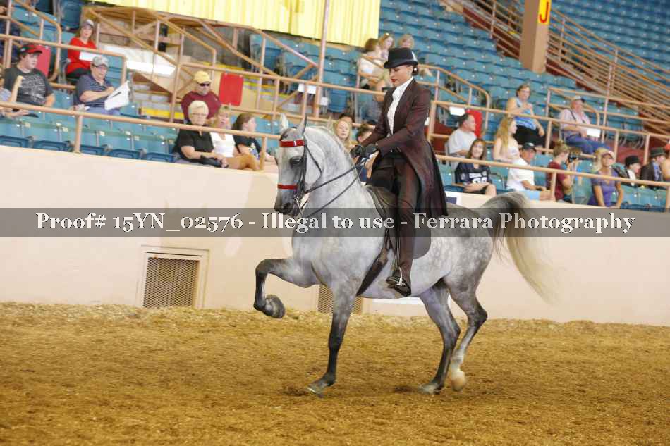 Proof 15YN_02576