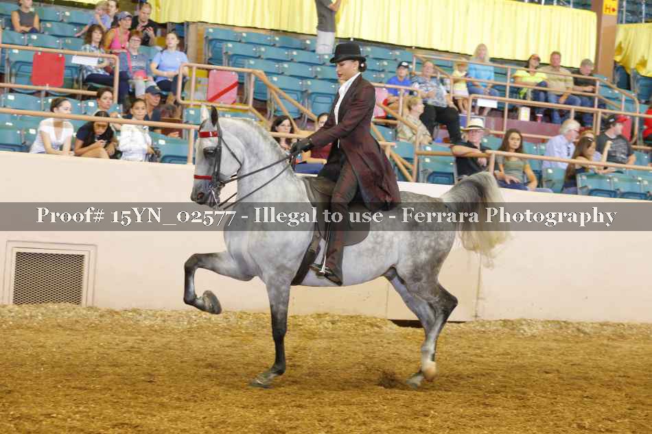 Proof 15YN_02577