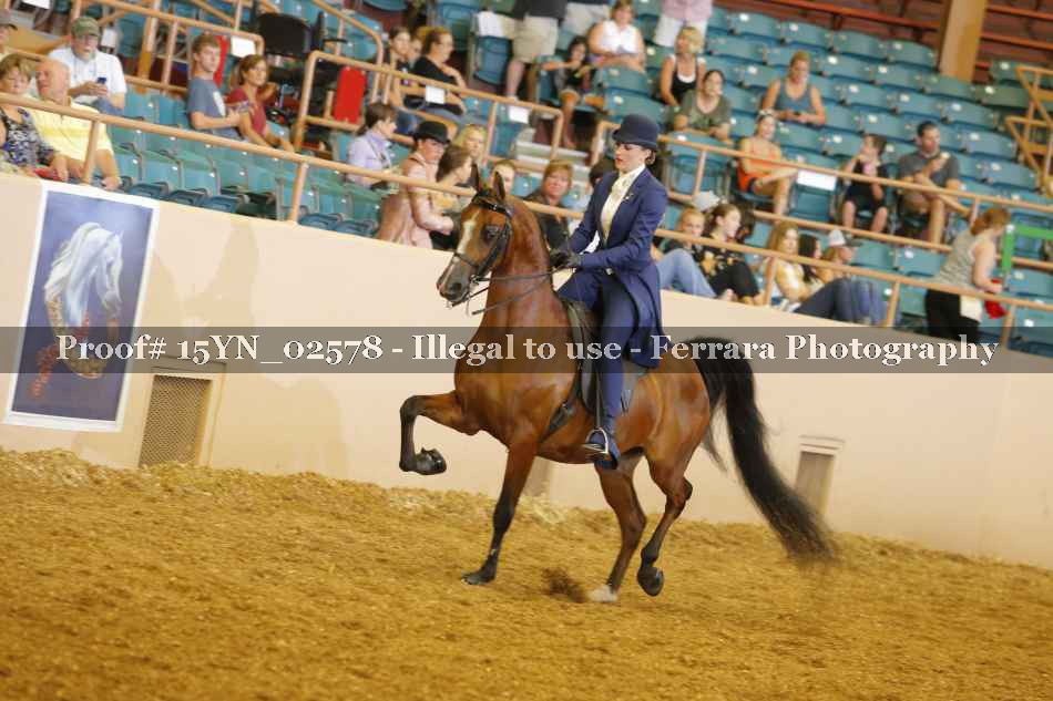 Proof 15YN_02578