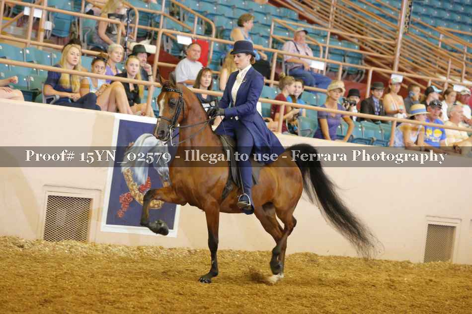 Proof 15YN_02579