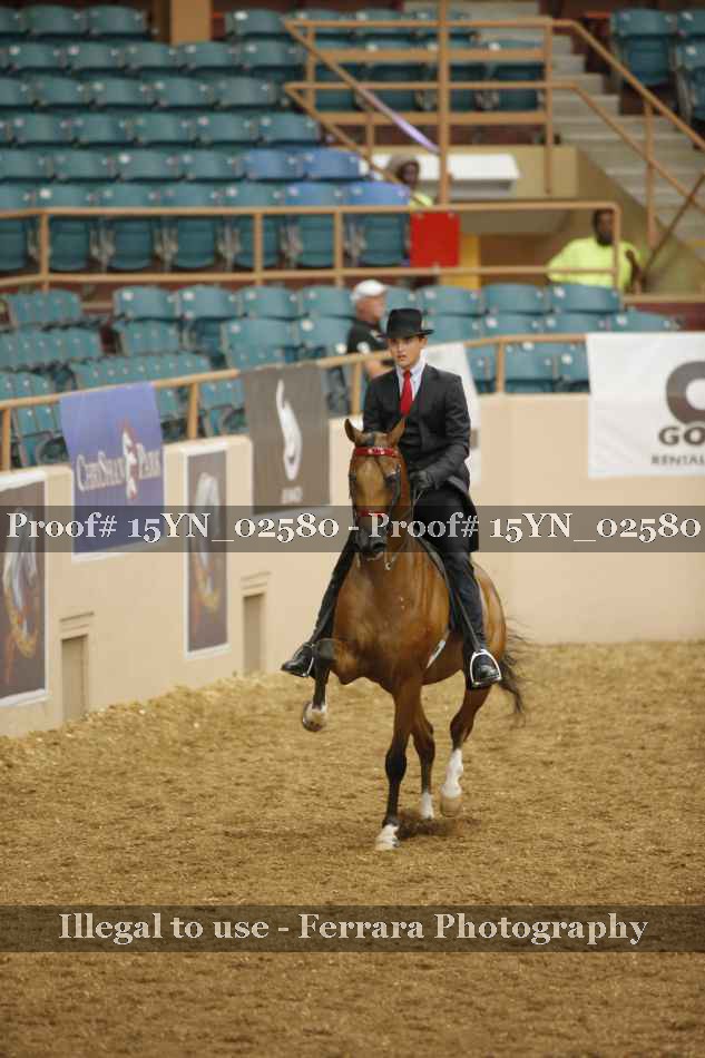 Proof 15YN_02580