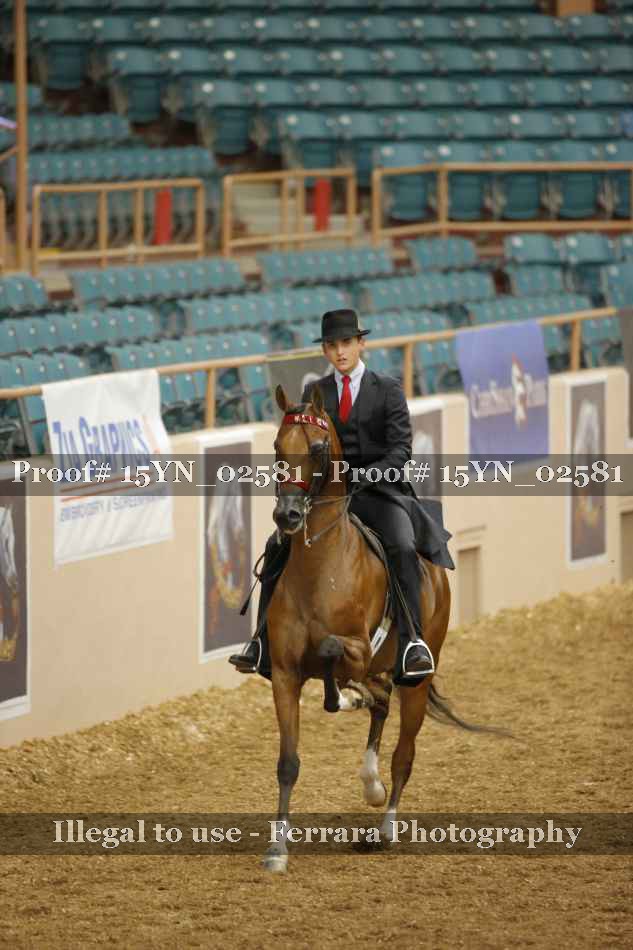 Proof 15YN_02581
