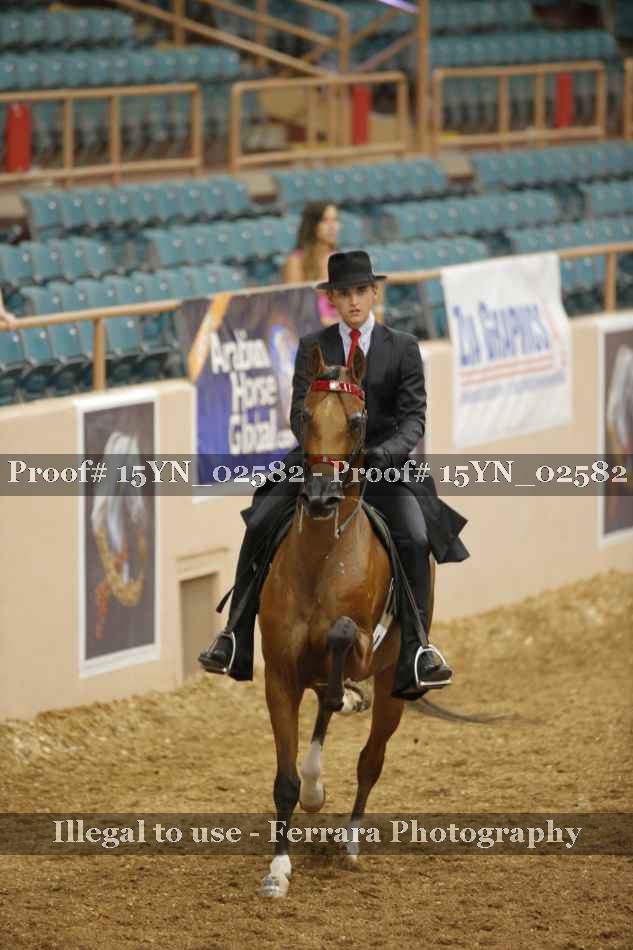 Proof 15YN_02582