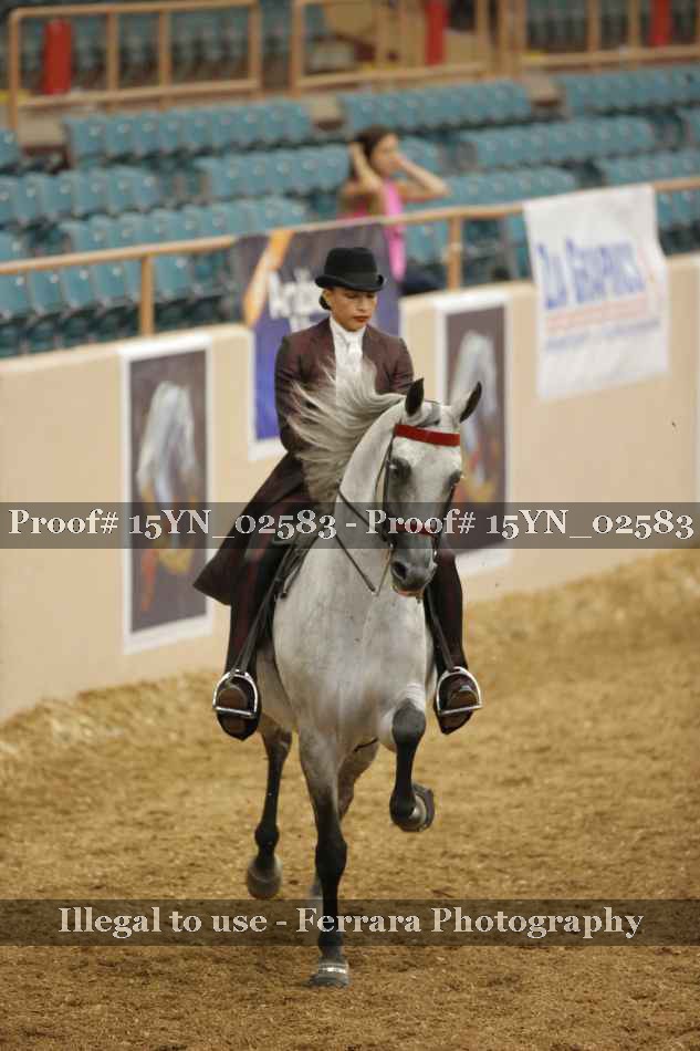 Proof 15YN_02583