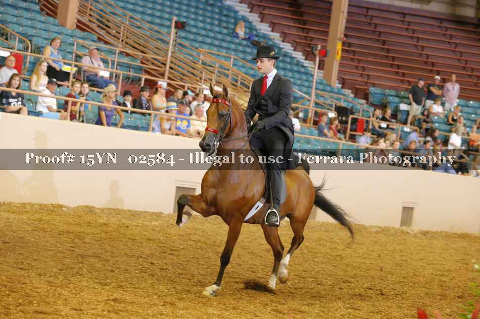 Proof 15YN_02584