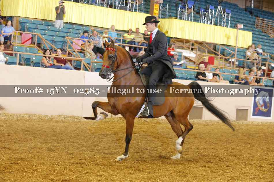 Proof 15YN_02585
