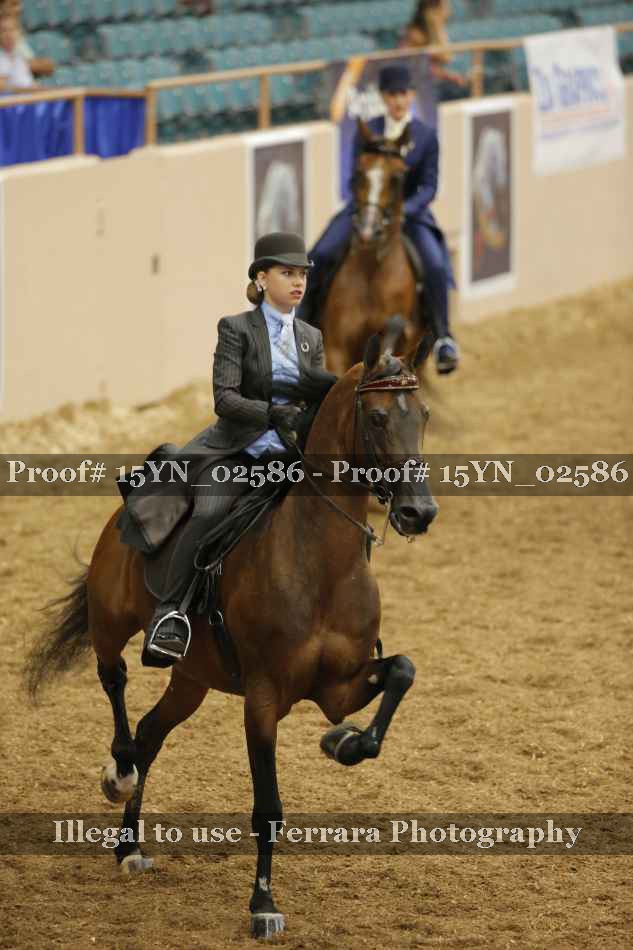Proof 15YN_02586