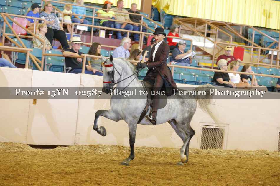 Proof 15YN_02587