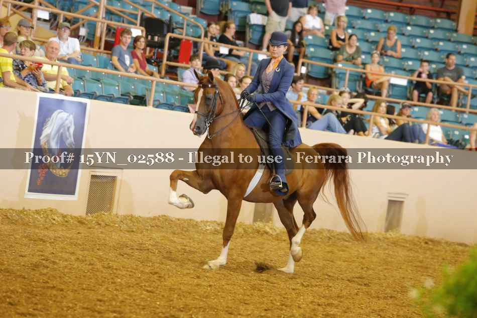 Proof 15YN_02588