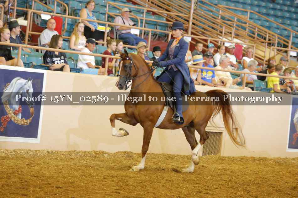 Proof 15YN_02589