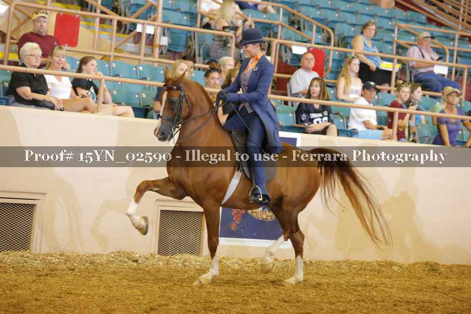 Proof 15YN_02590