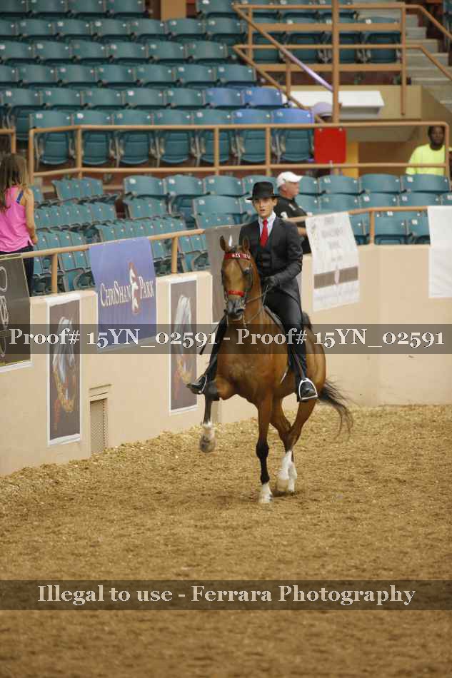 Proof 15YN_02591