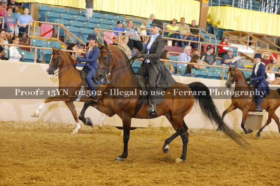 Proof 15YN_02592