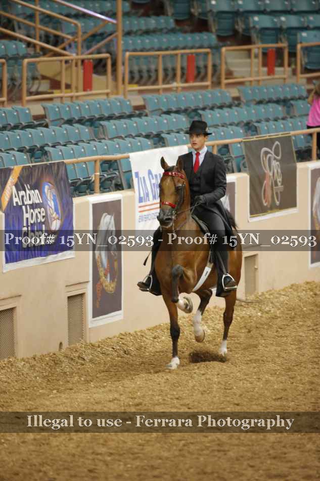 Proof 15YN_02593