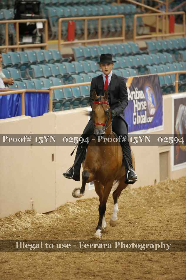 Proof 15YN_02594