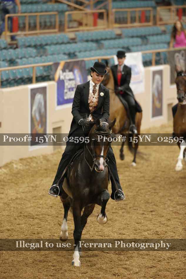 Proof 15YN_02595