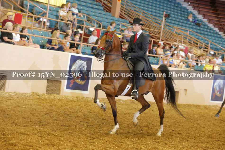 Proof 15YN_02596