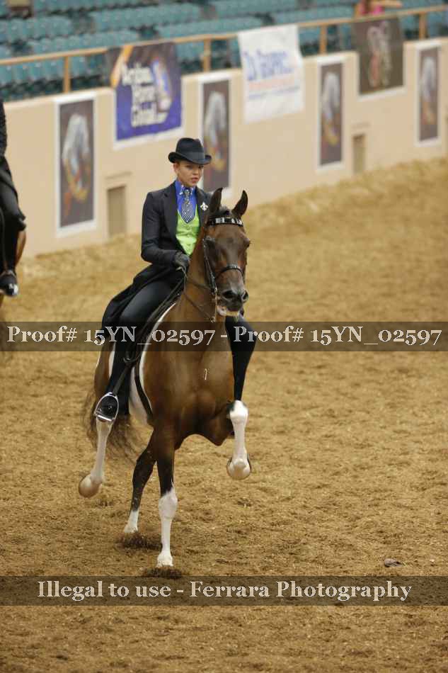 Proof 15YN_02597