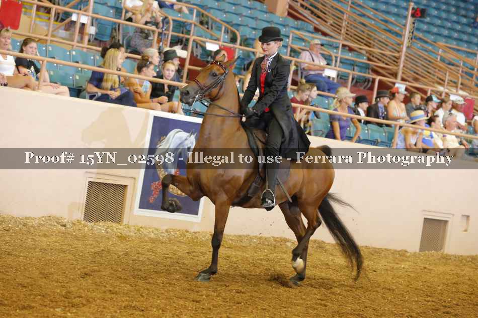 Proof 15YN_02598