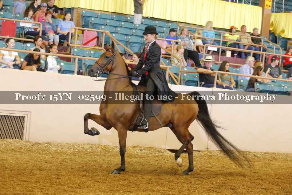 Proof 15YN_02599