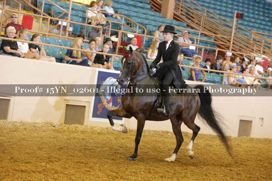 Proof 15YN_02601