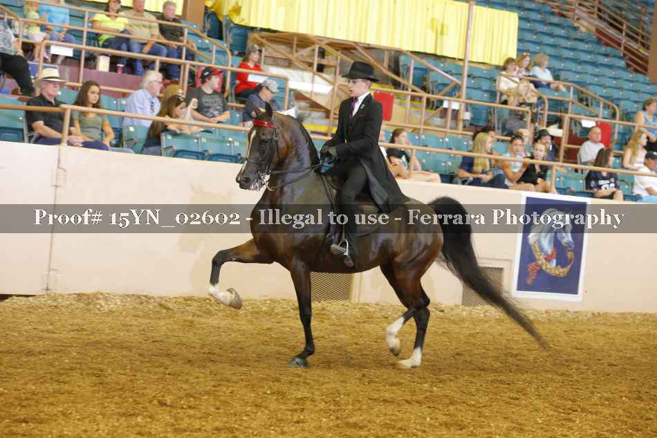 Proof 15YN_02602