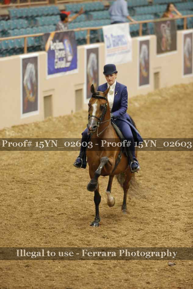 Proof 15YN_02603