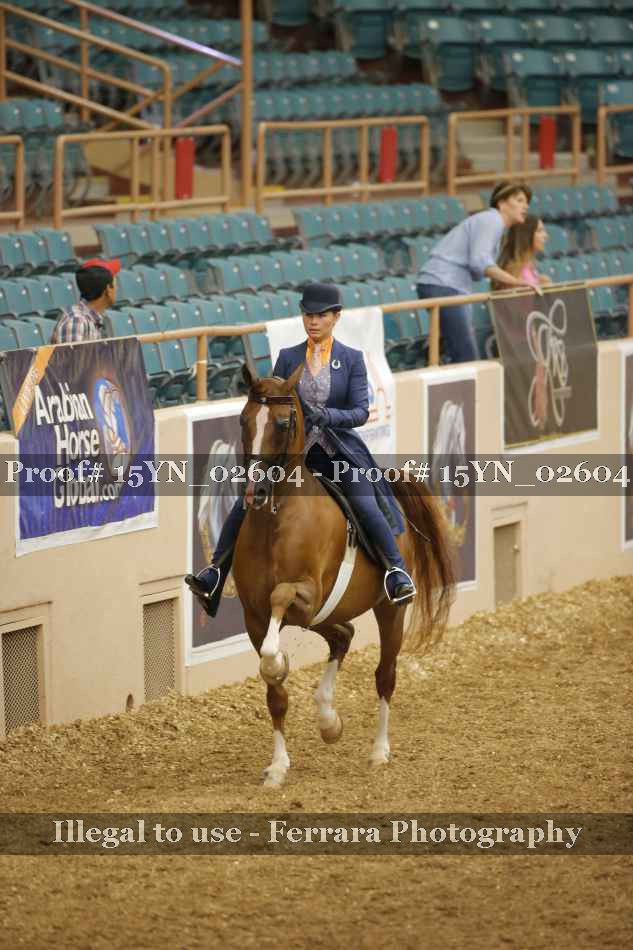 Proof 15YN_02604
