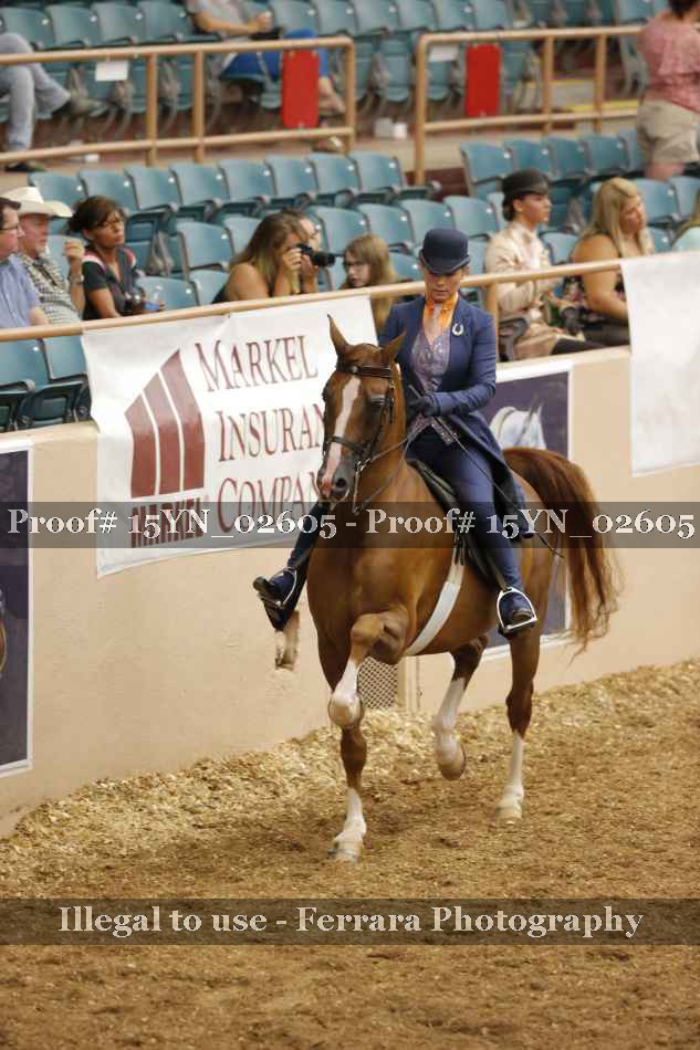 Proof 15YN_02605