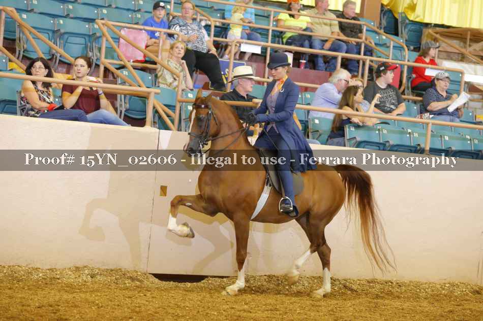 Proof 15YN_02606