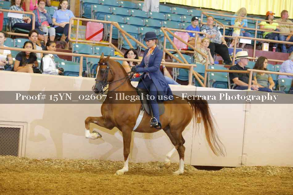 Proof 15YN_02607