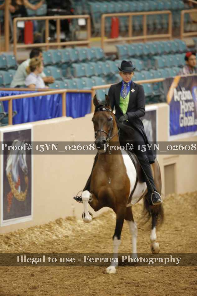 Proof 15YN_02608