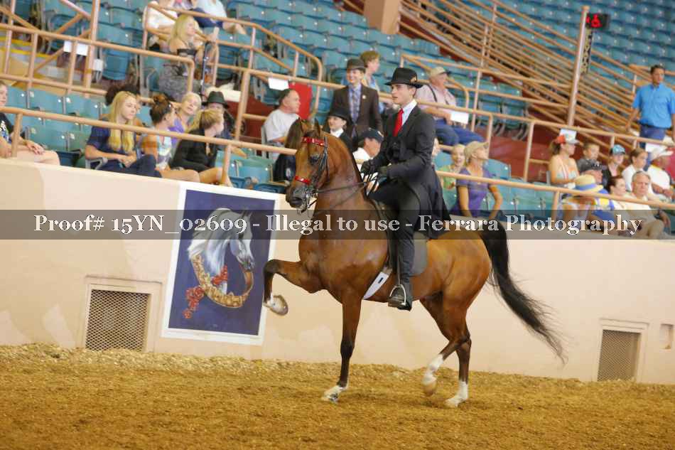 Proof 15YN_02609