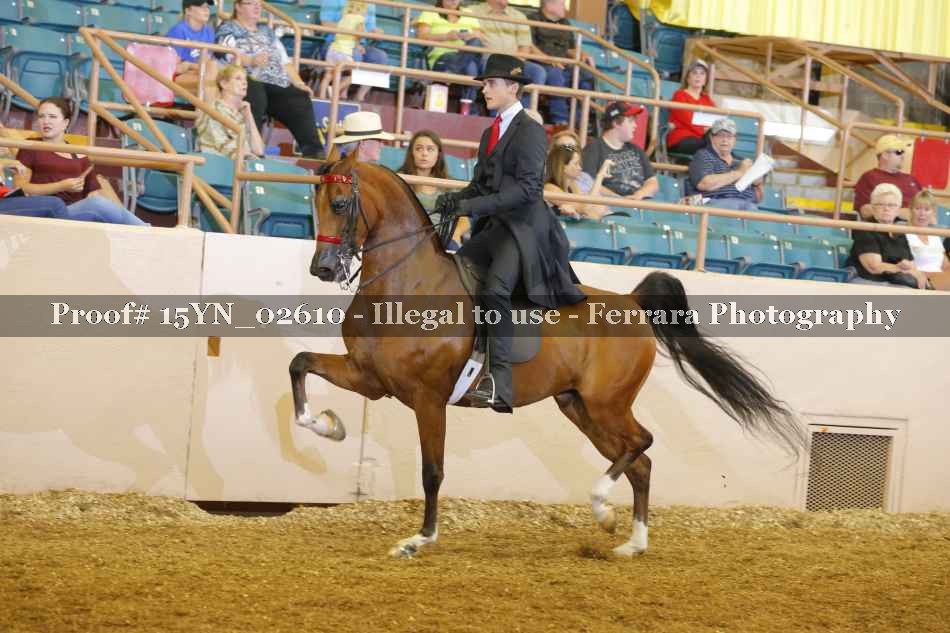 Proof 15YN_02610
