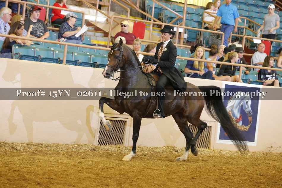 Proof 15YN_02611