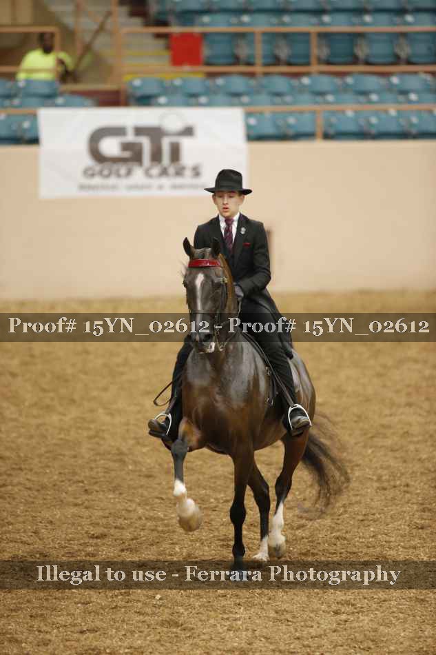Proof 15YN_02612