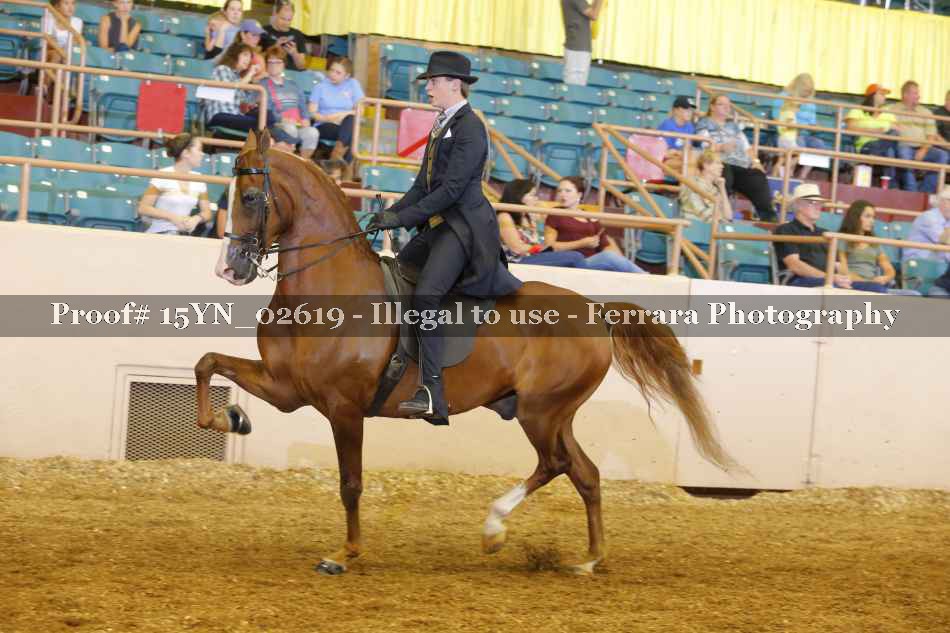 Proof 15YN_02619