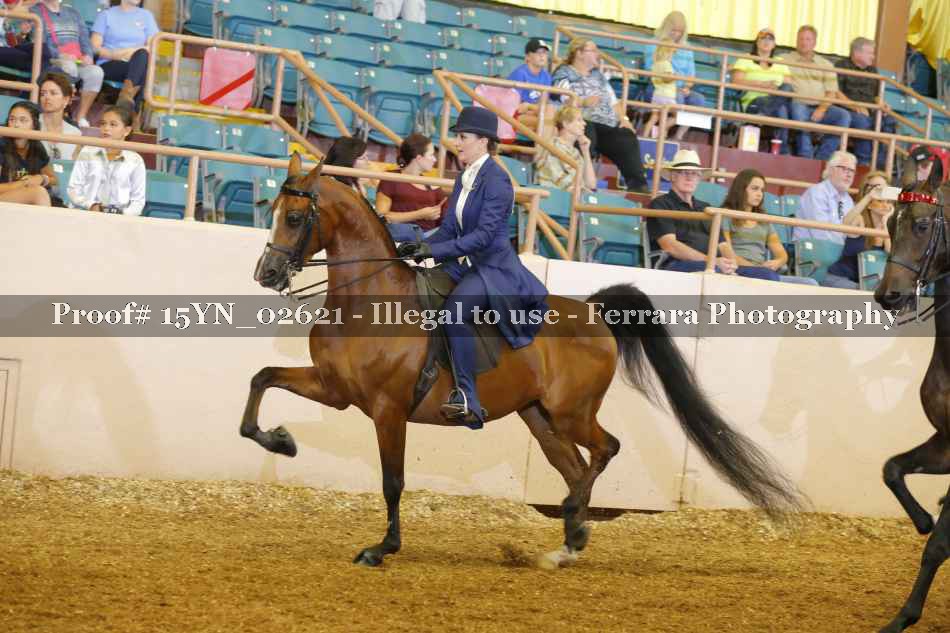 Proof 15YN_02621