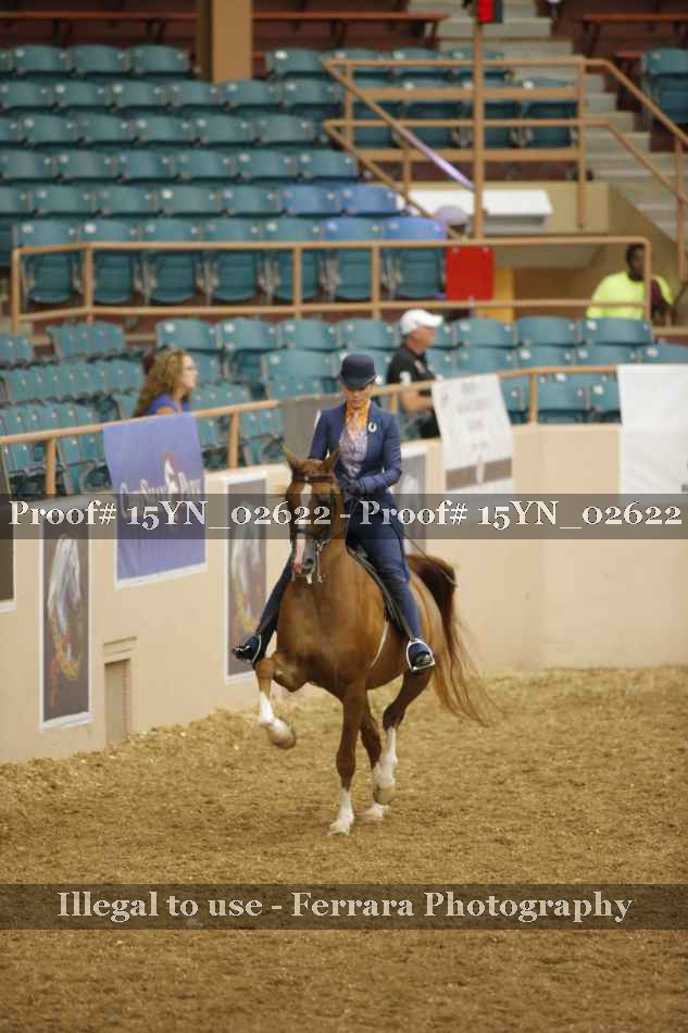 Proof 15YN_02622