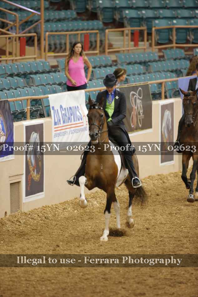 Proof 15YN_02623